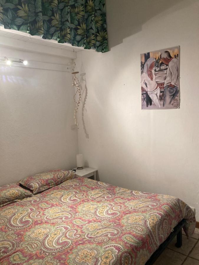 Bed and Breakfast La Coccinelle Nimes Exterior foto